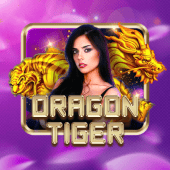 Dragon Tiger RTP icon